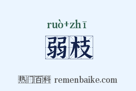 弱枝是什么意思的图片
